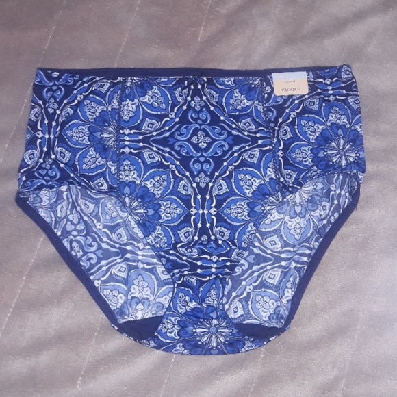 Cacique Other - Blue & White Full Brief Panties NWT 14/16 Cacique Other - Blue & White Full Brief Panties NWT 14/16